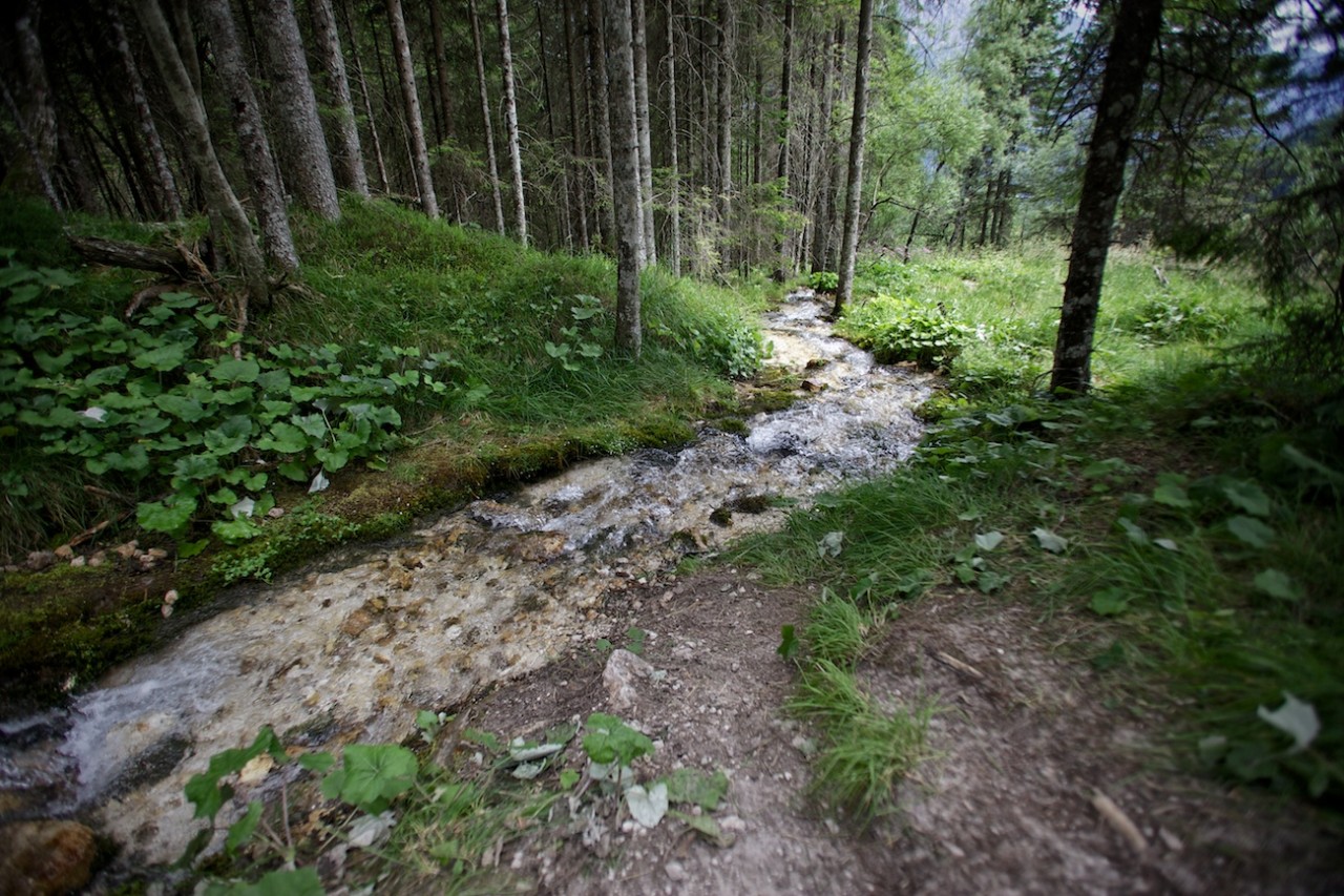 19-IMG_0778