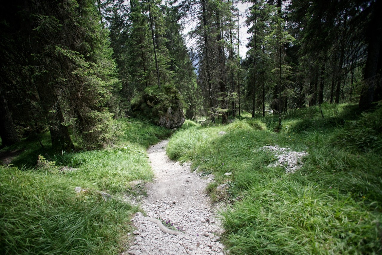 20-IMG_0732