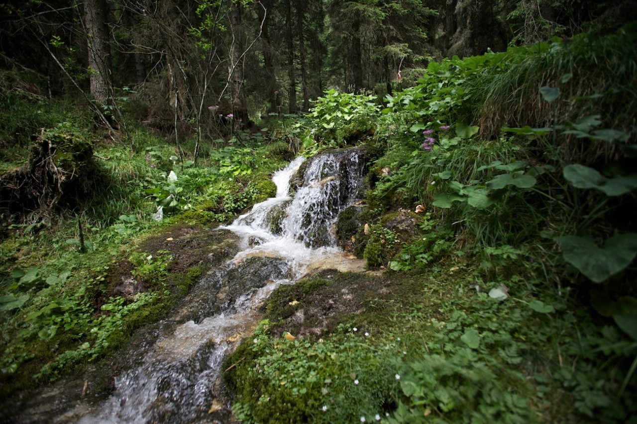 22-IMG_0757