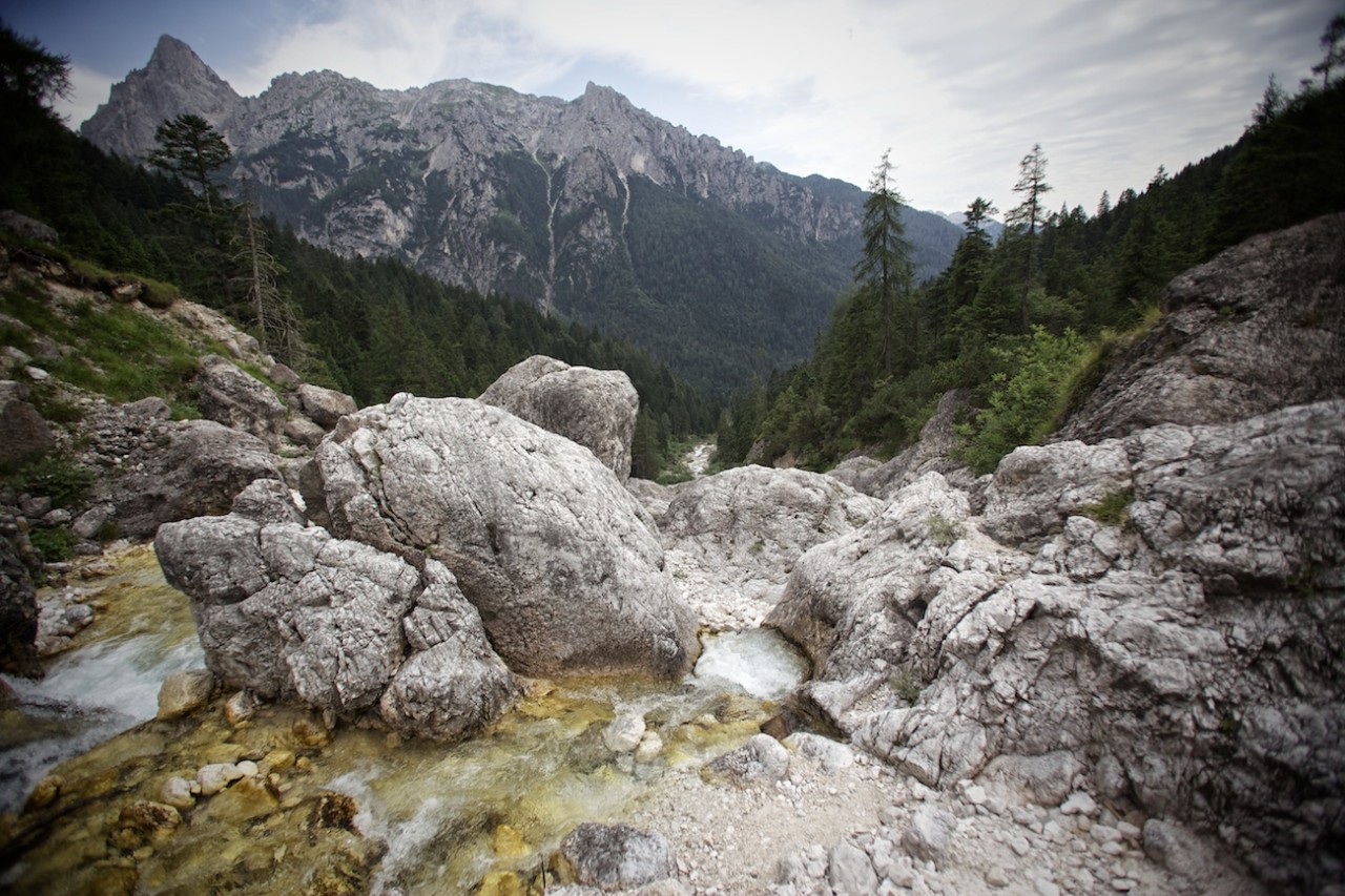 27-IMG_0810